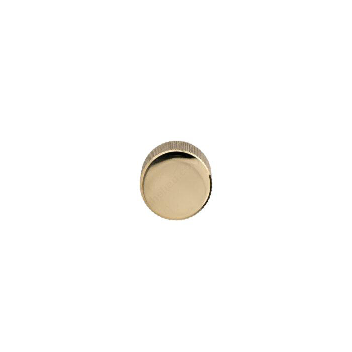 Polished Gold "Rivet" Small Round Knob