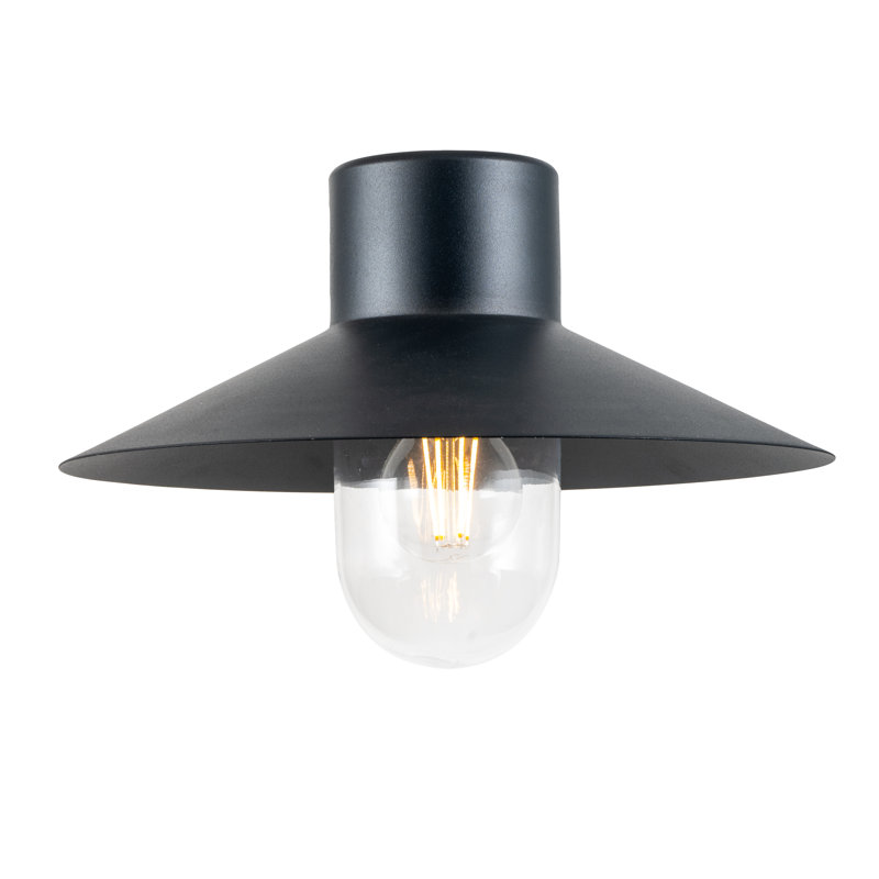 Ivy 22cm H Outdoor Barn Light