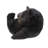 Baby Black Bear Lying