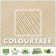 ColorTree Customizable Right Triangle Sun Shade Sail - Durable & UV-Resistant