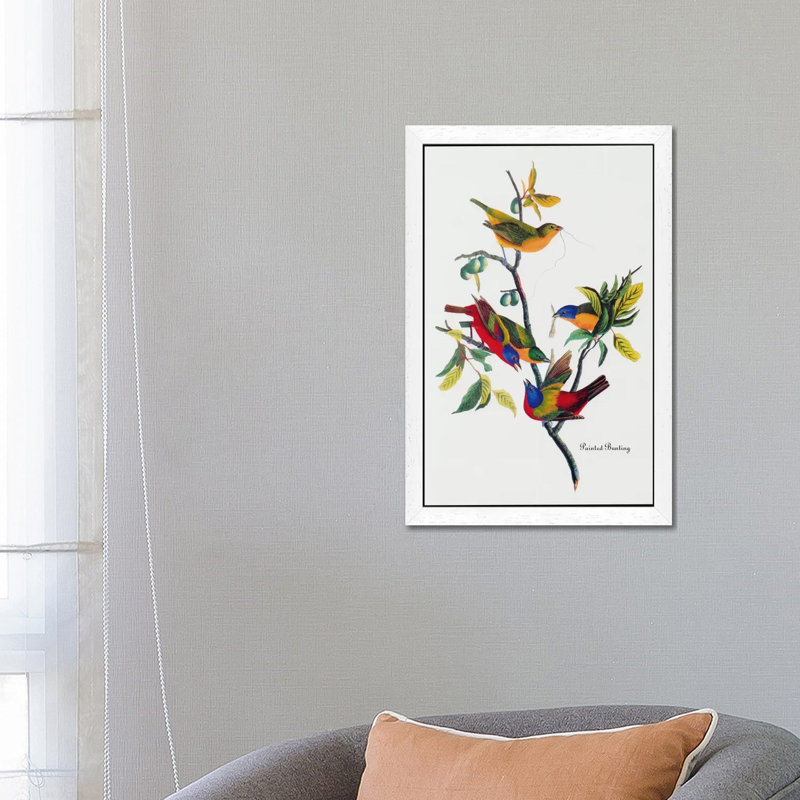 Painted Bunting by John Audubon - Painting on Canvas, 66.04 cm H x 45.72 cm W, White Framed