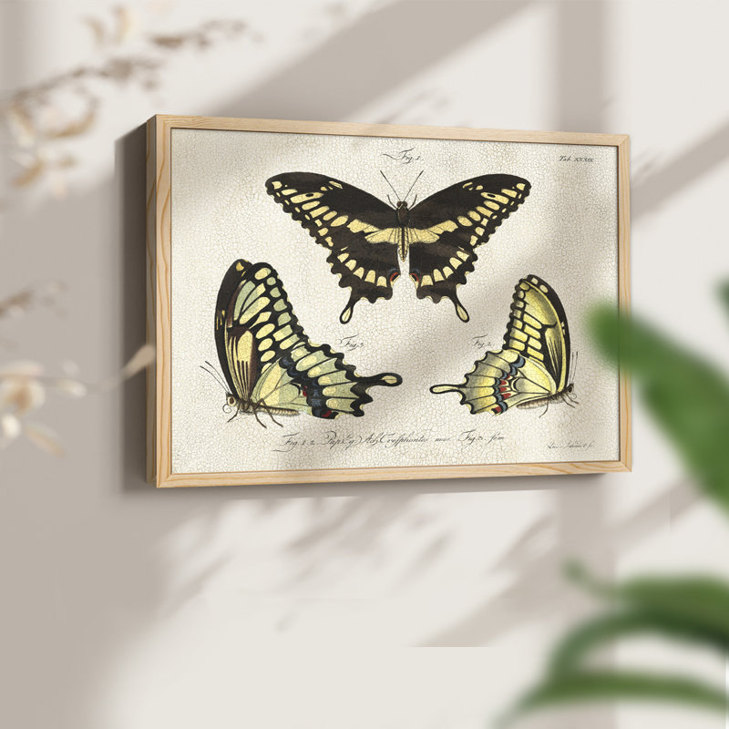 «Crackled Butterflies I», reproduction encadrée, H 8 po x l 10 po, Naturel