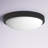 Mila Glass LED Flush Mount-1041223776