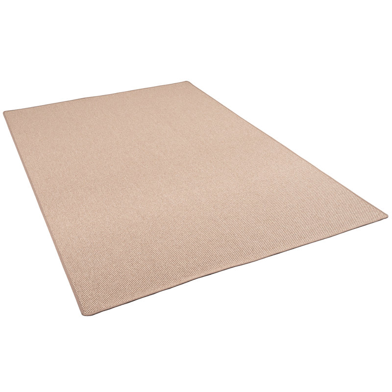 Salt Creek Hand Woven Area Rug, Rectangle 100 x 200cm