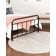 Gause Floral Indoor Rug
