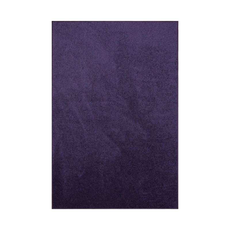 Modern Plush Pet and Kids Friendly Solid Color Area Rugs, Stain & Fade Resistance, Bedroom, Playroom and Kidsroom, Event, Wedding,  Perfect for Living Room, Dining Room, Purple Mena Rug