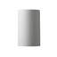 Tenny LED Outdoor Flush Mount