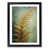 Black Framed selected