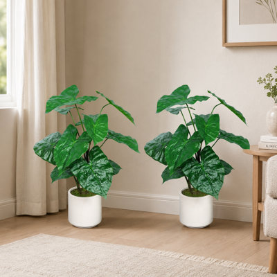Ensemble de 2 plantes artificielles Alocasia avec jardinières blanches