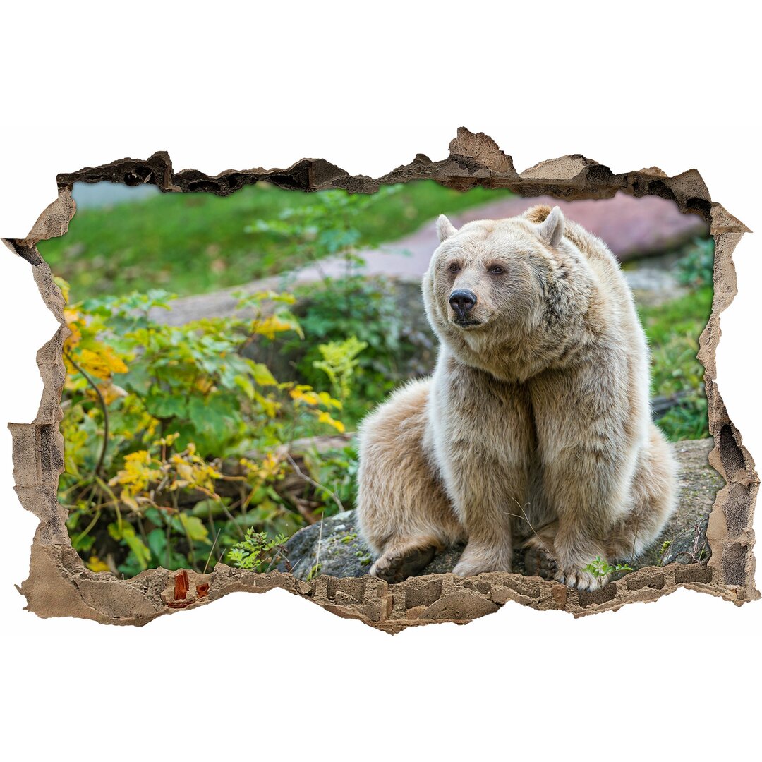 Wandtattoo Verspielter Grizzly in der Wildnis