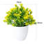 Centre de table fleurs en pot-232208209