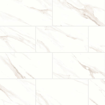 Shandar 12 in. x 24 in. Porcelain Tile
