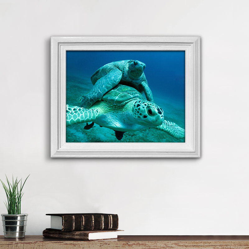 Animals Framed Art
