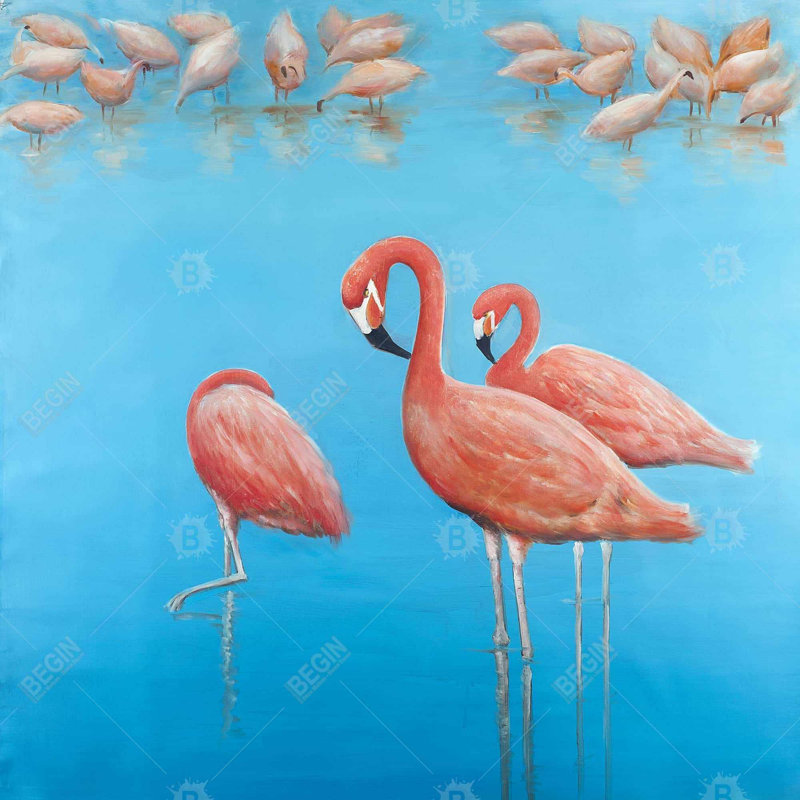 " Group Of Flamingos "