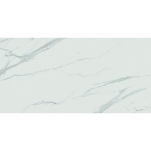 Majestic Matte Series 12" x 24" Porcelain Wall & Floor Tile
