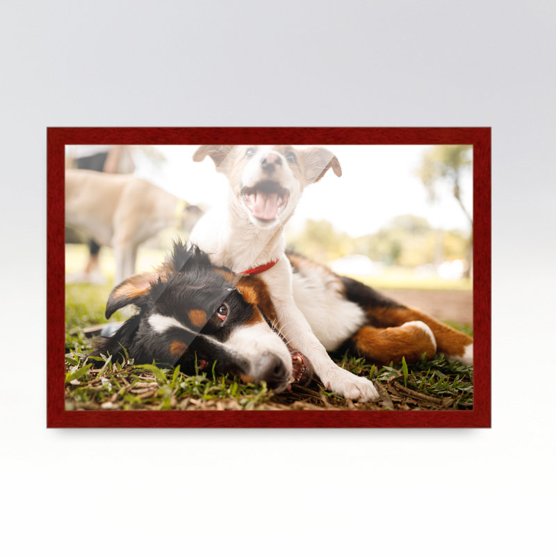 Cadre photo en bois brun, 20 po x 26 po
