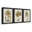 Fern Botanical I - Ensemble de 3 peintures sur toiles encadrées-972020132-972020128