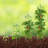 Plant Support