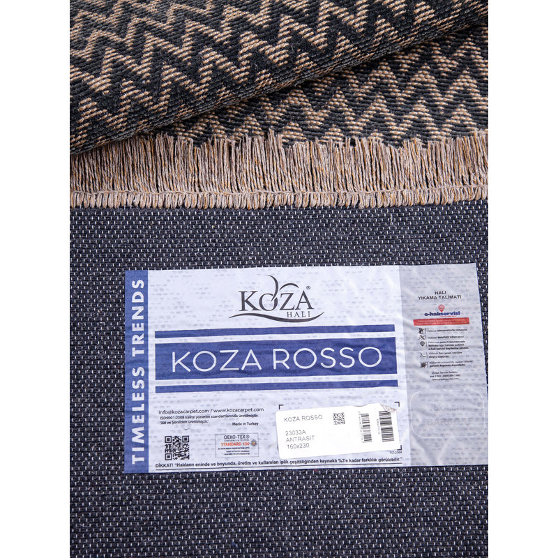 Raynika Chevron Machine Made Indoor / Outdoor Area Rug, Rectangle 200 x 290cm