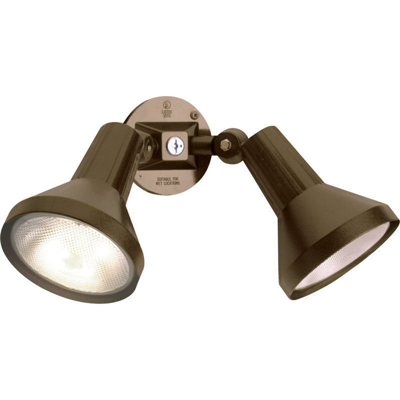  Chaidez 2 Light 15" Outdoor Security Flood Light, Dark Bronze