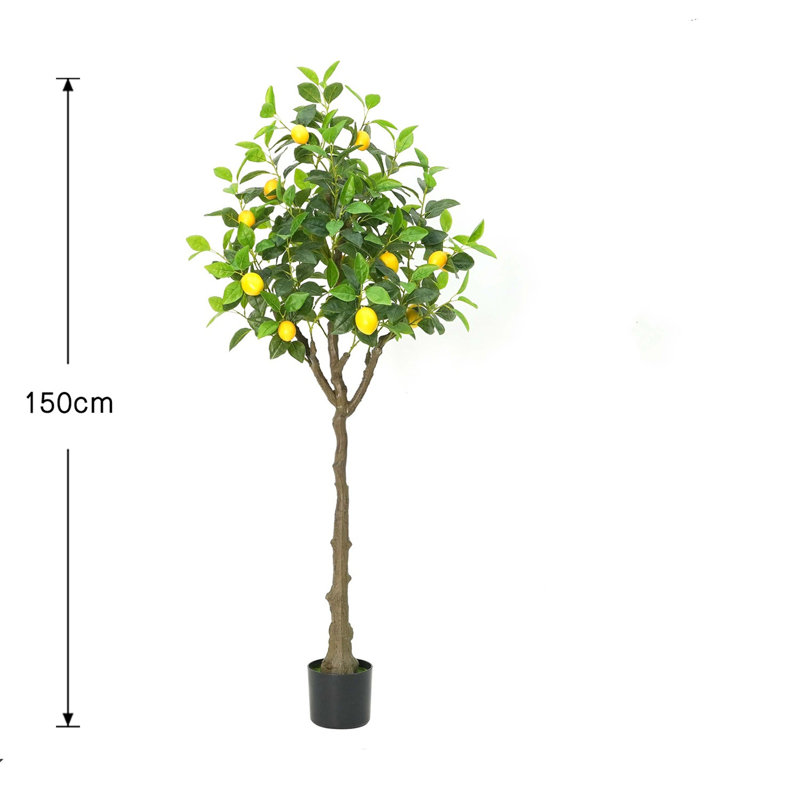 Anayeli Tree, 150cm H x 20cm W x 20cm D