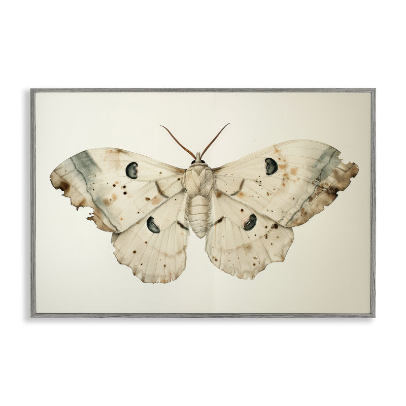 Art rétro, estampe de papillon de nuit beige par Petal Prints Design, Estampe numérique Farmhouse, H 20 po x l 30 po