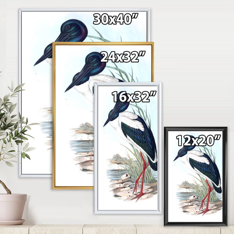 Oiseaux australiens rétro I - Impression sur toile, Cadre noir, H 40 po x l 30 po x 1,5 po
