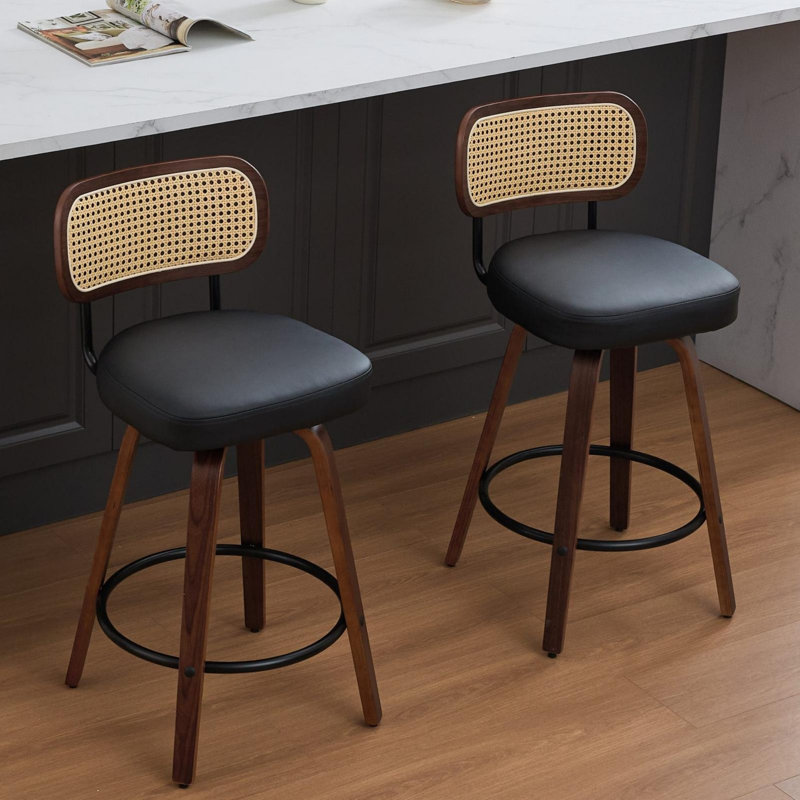 Contemporary Leisure Barstools