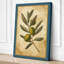 Olive Branch Study Botanical - Wrapped Canvas-118972776-118972781