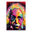 Einstein II by Dean Russo - Print on Canvas-42157647-56675618