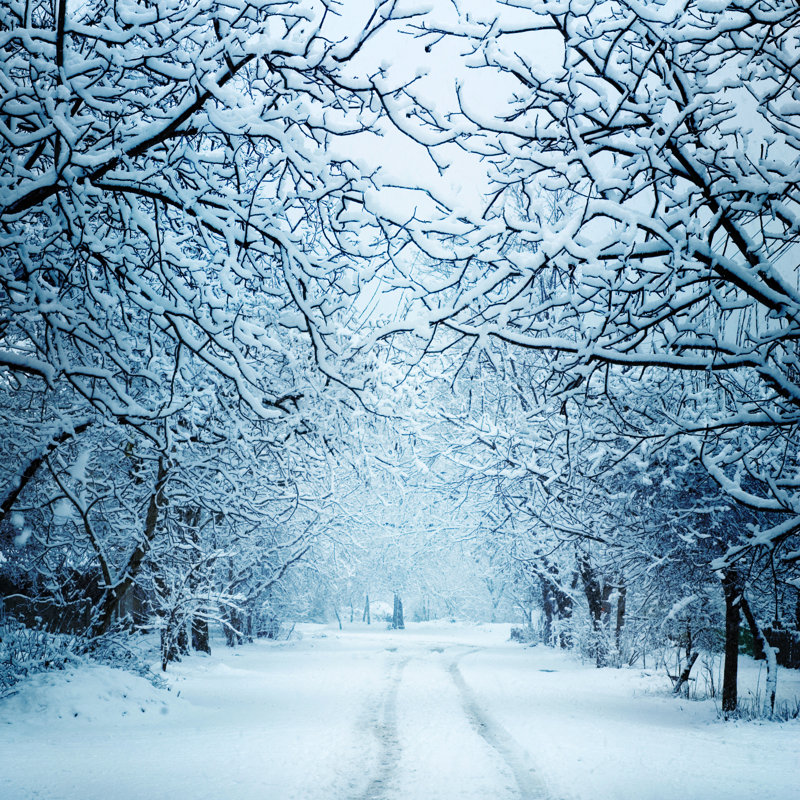 Paysage d'hiver - photographie sur toile tendue, H 30 po x l 30 po