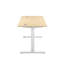 Bouton Adjustable Metal Base Standing Desk-656411965-656821103-639665721