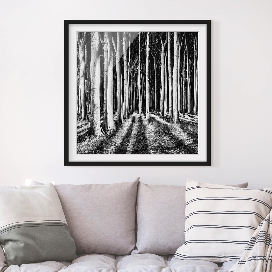 Gerahmtes Poster Haunted Forest