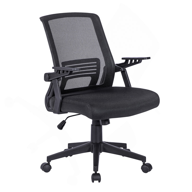 Chaise de bureau avec structure en plastique, plastique, pivotant, support lombaire, hauteur réglable, roulettes