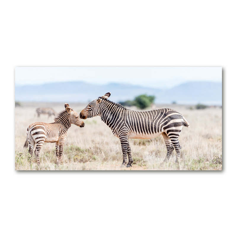 Zebras In The Mountains - No Frame Print on Glass, Canvas, 50cm H x 100cm W x 2cm D