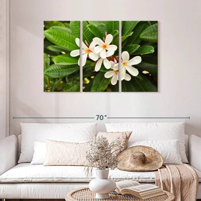 Fleurs de plumeria blanches Harnek