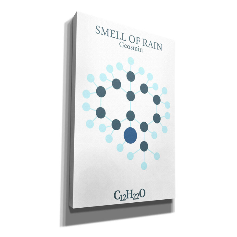 «Smell Of Rain Molecule» par Maxim, H 40 po x l 26 po x P 1,5 po