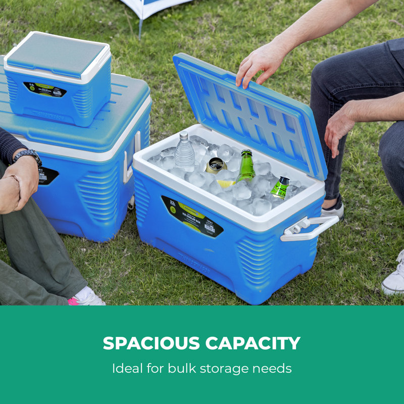 ROYALFORD Ice Cooler Box Camping Picnic Insulated Food Container, Blue