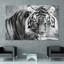 Tigre ABC - Ensemble de 3 peintures sans cadre sur verre