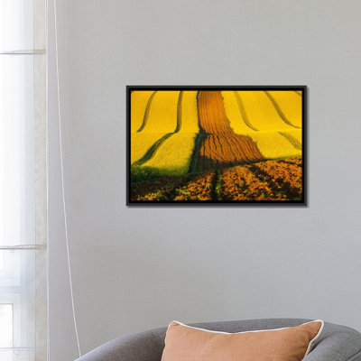 Czech Republic, Moravia, Rapeseed Field II by Mikolaj Gospodarek - Wrapped Canvas Gallery-Wrapped Canvas Giclée