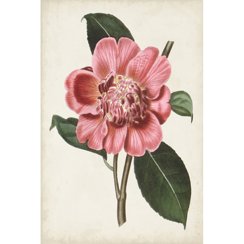 «Carnelian Blooms I», peinture sur toile, H 36 po x l 24 po