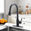 Robinet de cuisine SUNRINX-94553825