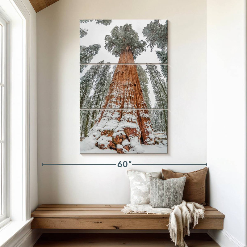 Harnek Wintry Sequoia Tree, 50" H x 32" W