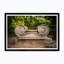 Ionic
