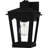Huck 1-Light Earth Black Outdoor Wall Lantern-468294229