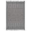 Tapis intérieur / extérieur 8 X 10