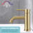 Single Hole Bathroom Faucet-94264470-116788132