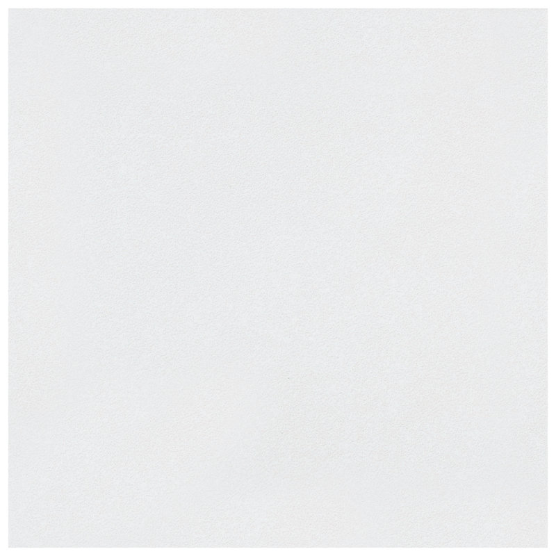 Twenties 8" x 8" Ceramic Concrete Look Wall & Floor Tile, White
