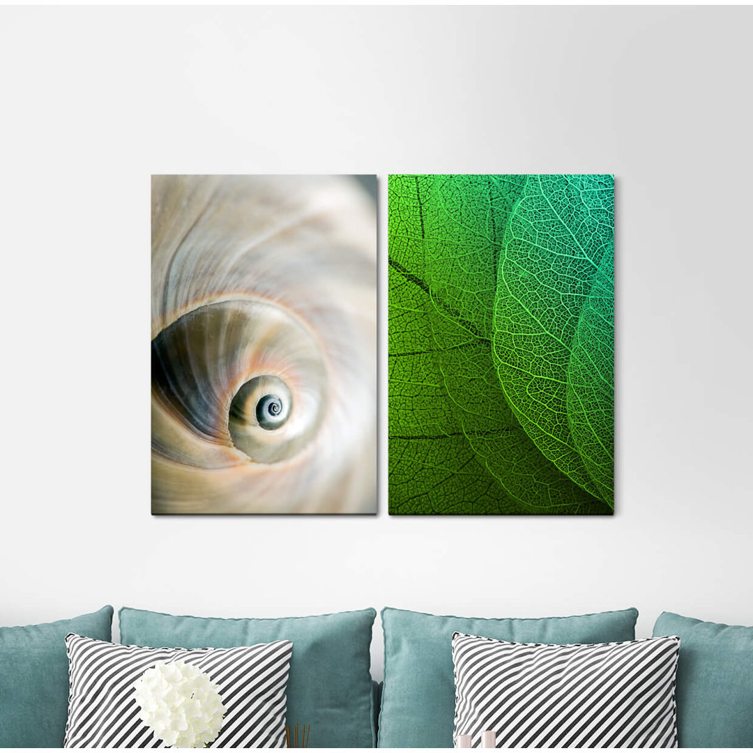 2-tlg. Leinwandbilder-Set - Fotografie „Snail Shell Leaves Leaf Veins Green Focus”