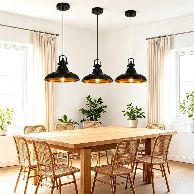 Luminaire suspendu Farmhouse, luminaire suspendu noir pour îlot de cuisine, plafonniers noirs mats pour salle à manger, chambre à coucher, couloir, cordon réglable, paquet de 3